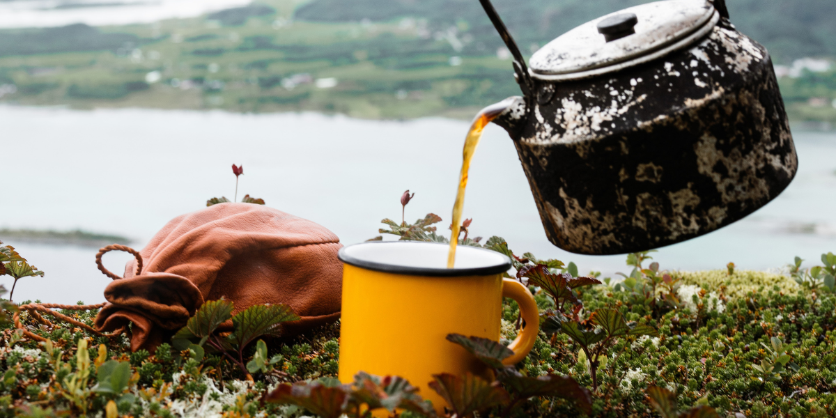 How to Brew the Perfect Cup of Tea