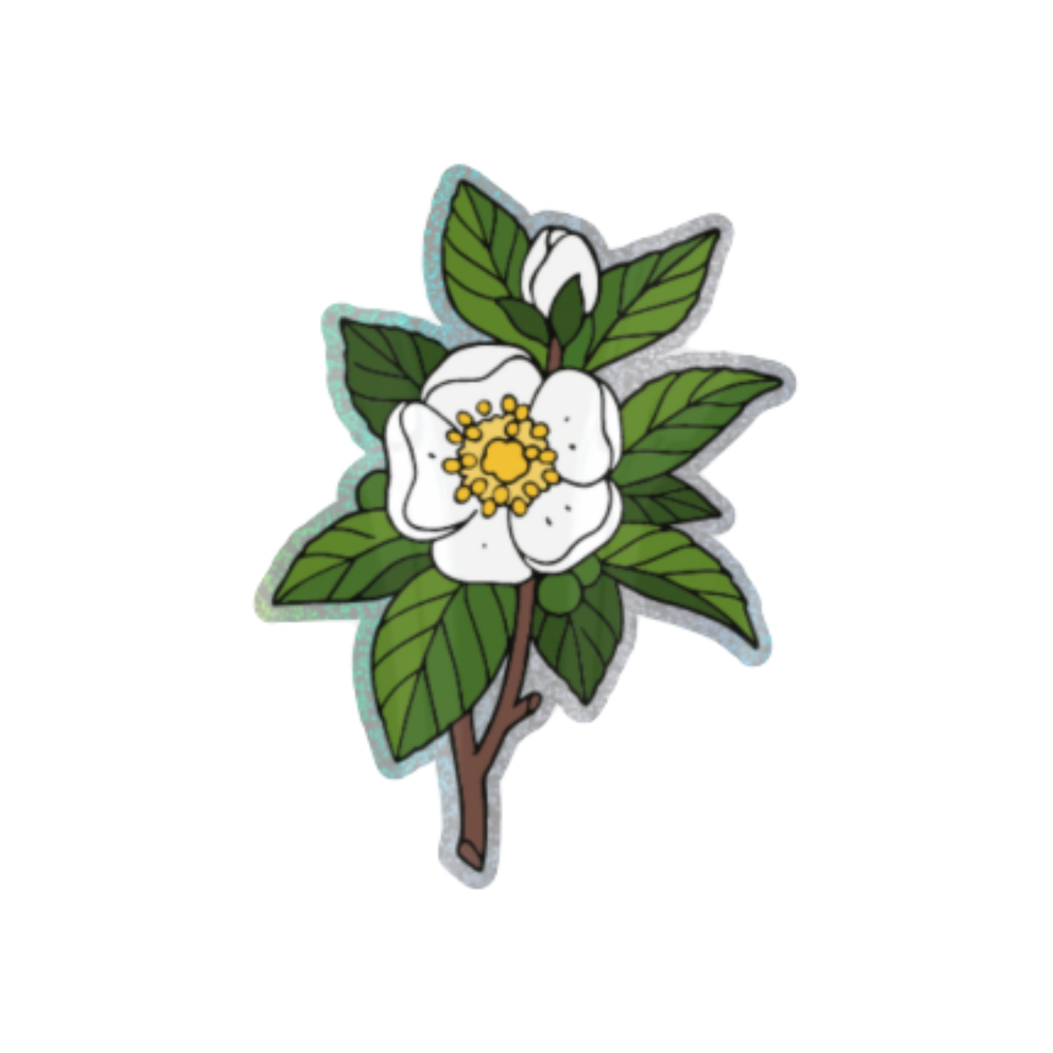 Camellia Sinensis Sticker